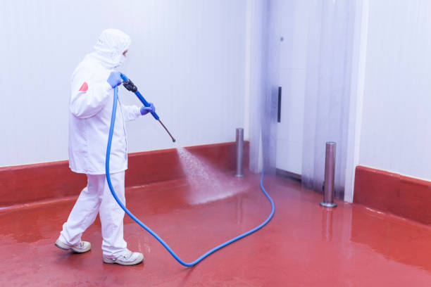 Best Pool Deck Cleaning  in Juno Beach, FL