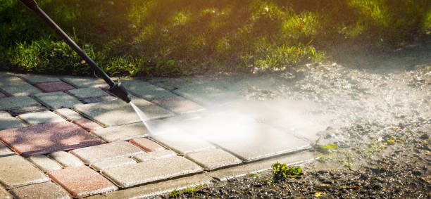 Best Roof Washing  in Juno Beach, FL