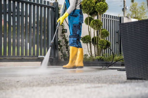 Best Driveway Pressure Washing  in Juno Beach, FL